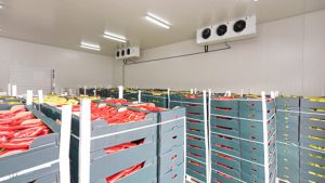 Bluetooth temperature humidity data logger helps cold chain management