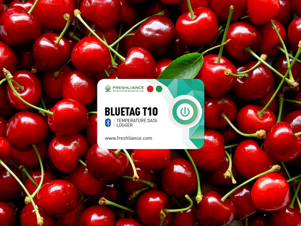 Bluetooth temperature logger for cherry temperature monitoring