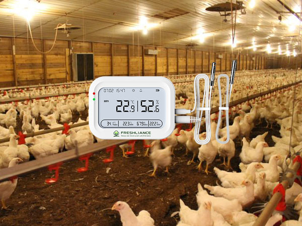 Real-time temperature data logger for poultry farms