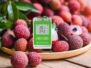 4G real-time cold chain data recorder for litchi transportation
