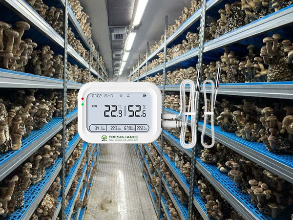 Real-time data logger for mushroom cultivation