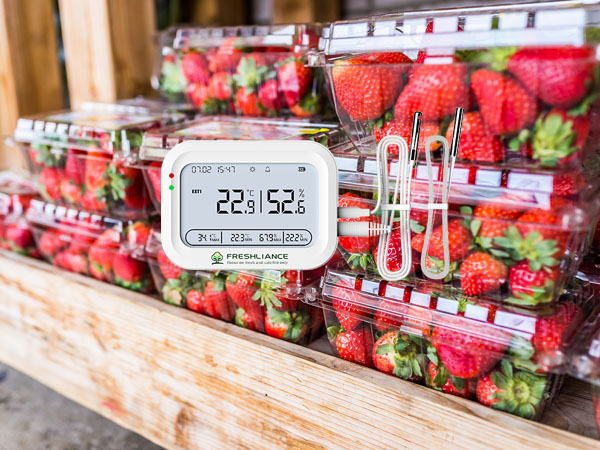 Can real-time temperature recorders for strawberry storage provide real-time alarms?