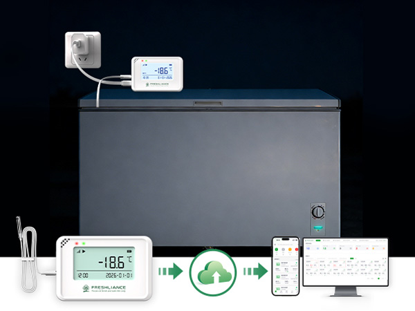 Coeus Mini Real-Time Temperature and Humidity Data Logger