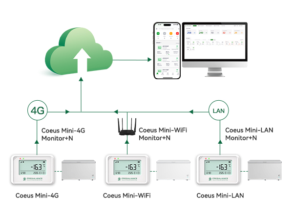Coeus Mini Real-Time Temperature and Humidity Data Logger