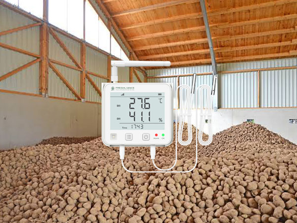 Real-time Monitoring and Alerting in Potato Storage